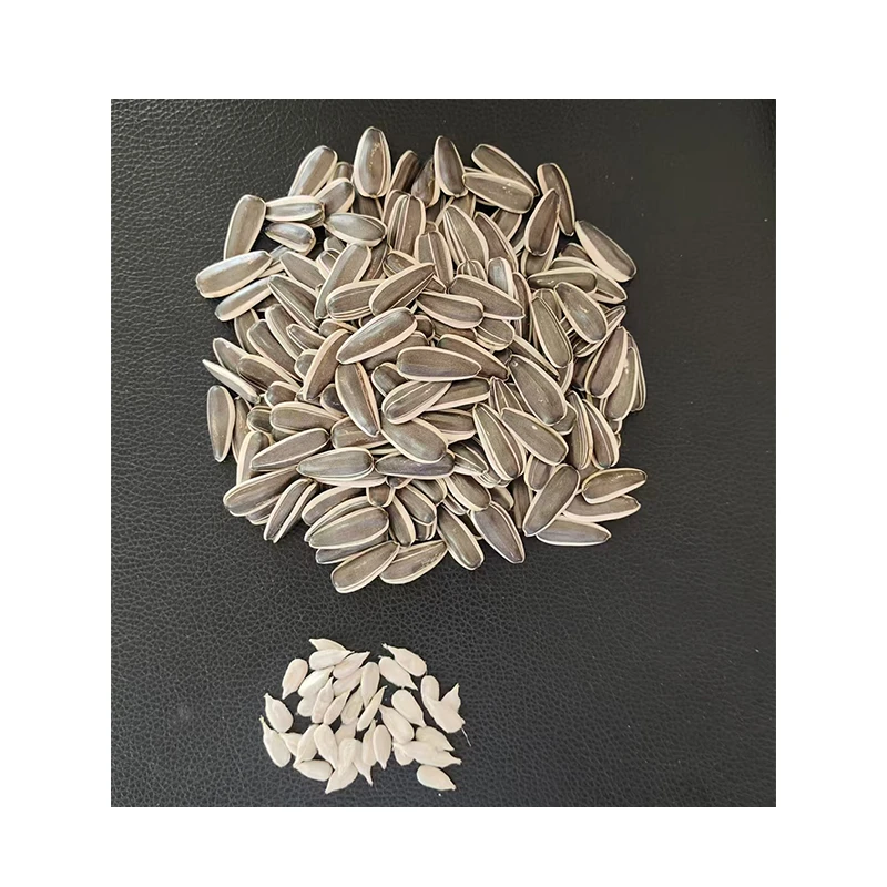 内蒙古特产葵花籽瓜子【金河8号】