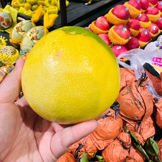 葡萄柚5个