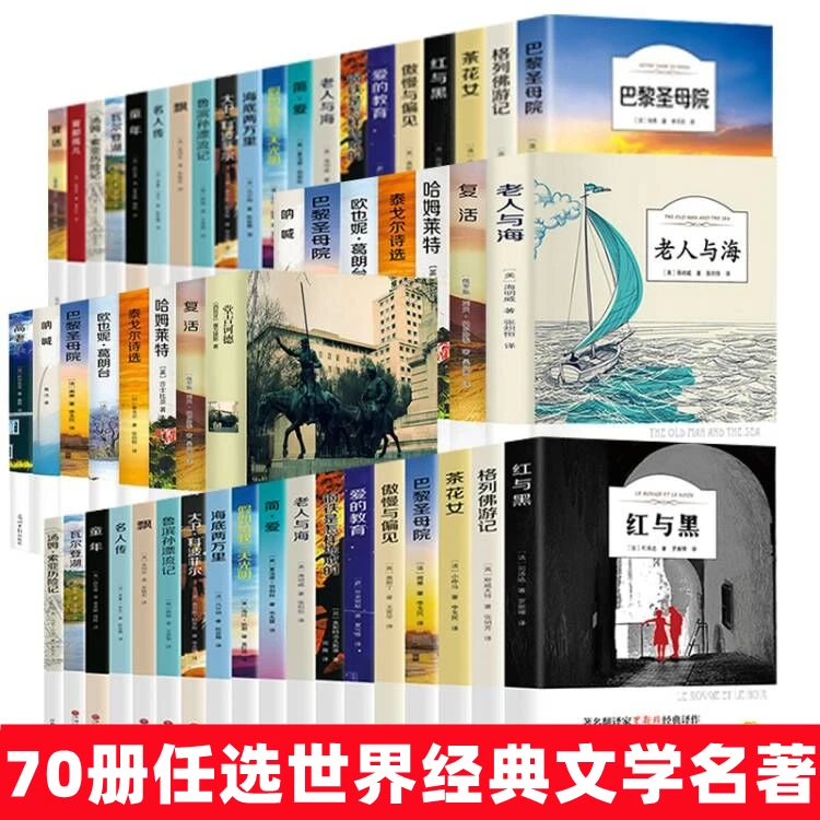 正版傲慢与偏见柳林风声小王子巴黎圣母老人与海昆虫记书七年级