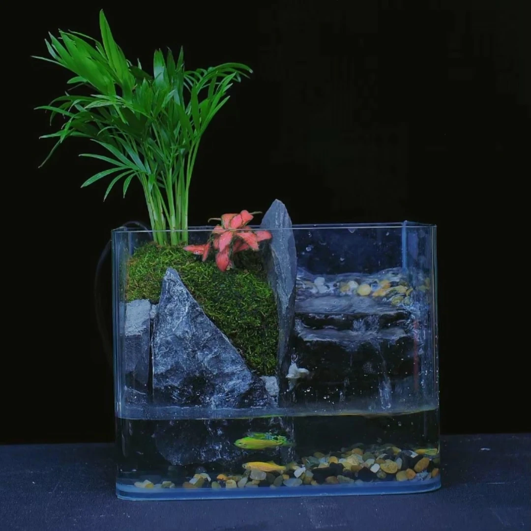 【椿屿】流水增氧玻璃缸袖珍椰子山水景观20*16*14