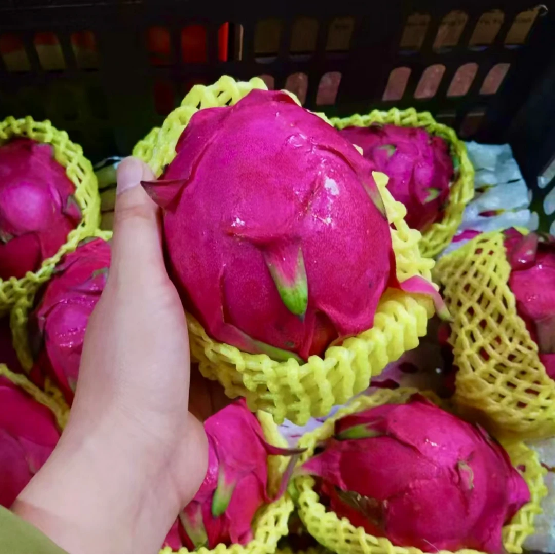 海南密宝【3个】