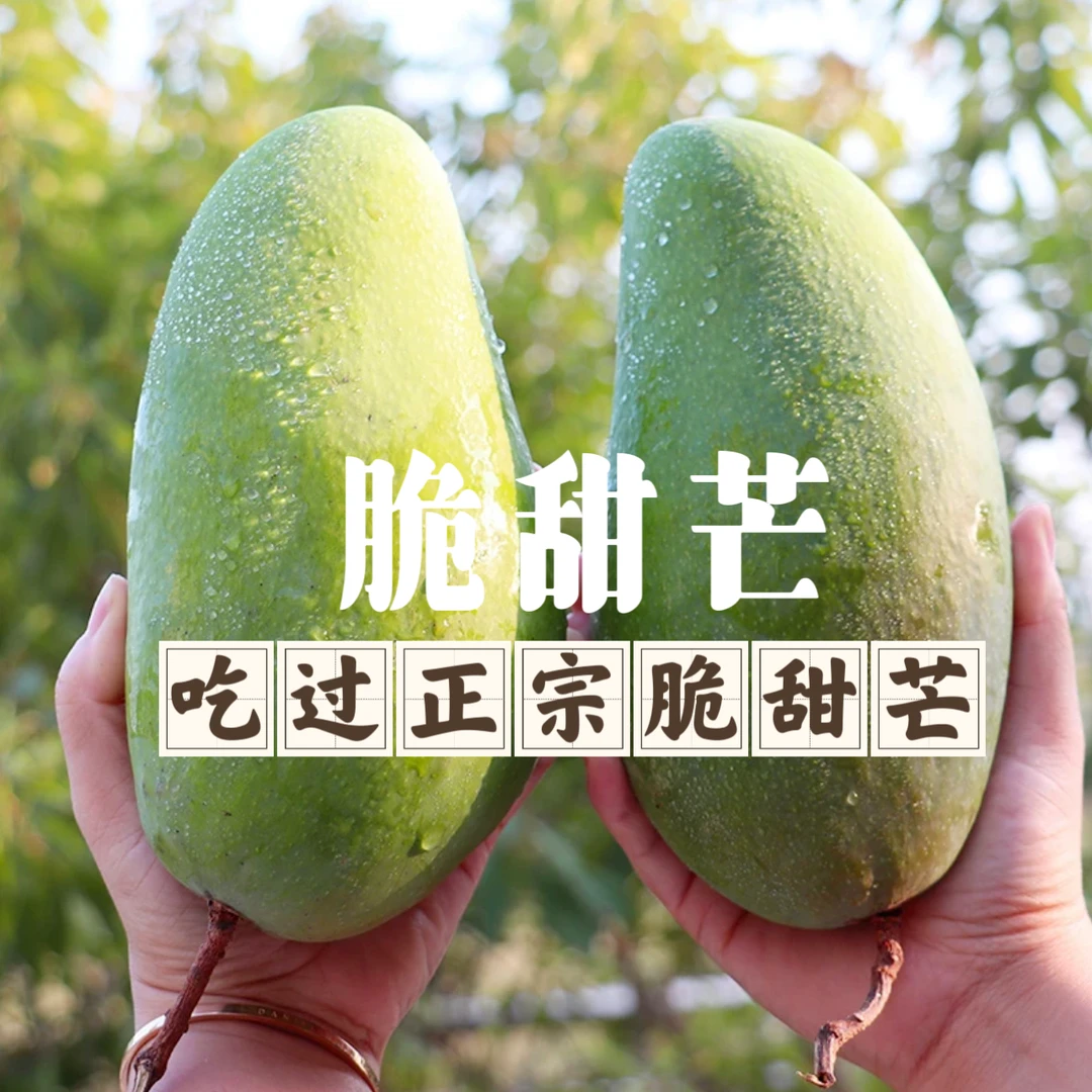 越南进口甜心芒脆甜大金煌芒生吃脆甜大青芒熟吃软甜批发新鲜水果