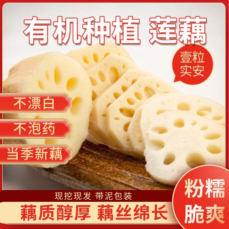 【壹粒实安】生态莲藕五斤三斤