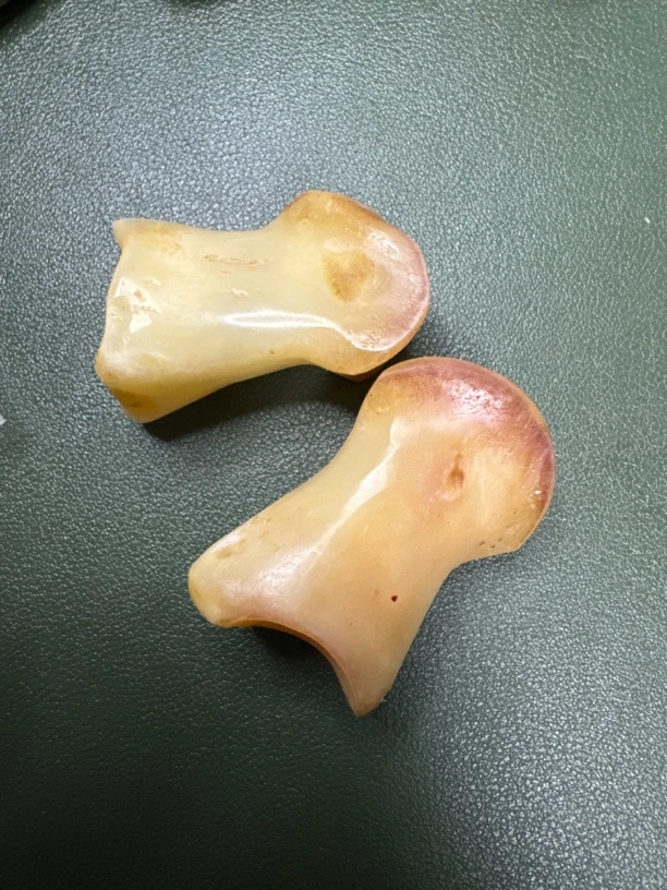 牙骨斋文玩 大头鬼趾骨 手把件 拍下发一对