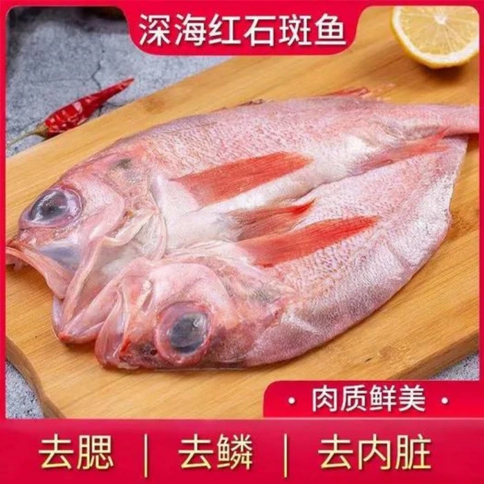 开背红石斑鱼深海红绸鱼 大眼鱼 去鳃去鳞去内脏净鱼生鲜鱼海鲜