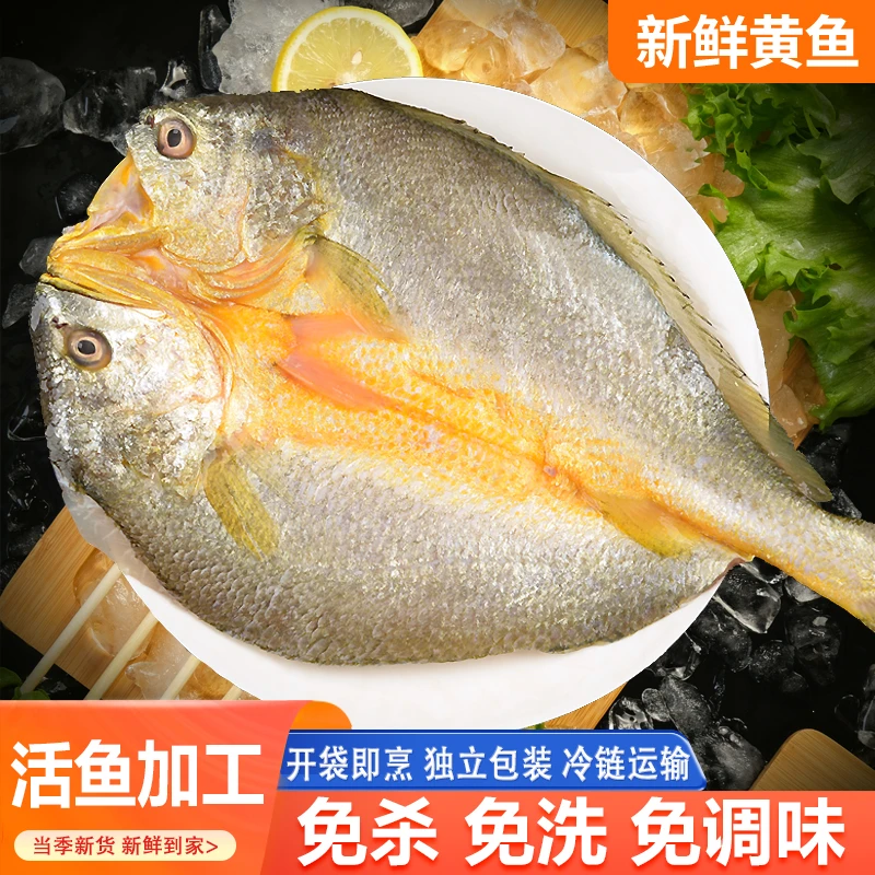 黄鱼鲞 三去黄花鱼 大黄鱼 生鲜 水产 鱼类 免杀即烹 250g/条6条