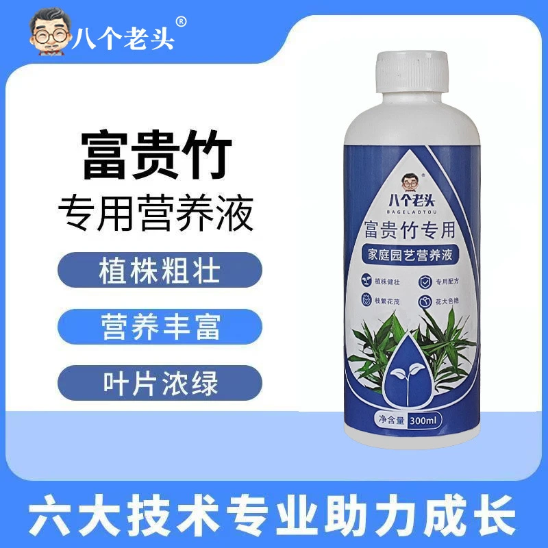 富贵竹专用营养液改善突然环境促进植物生长园艺肥