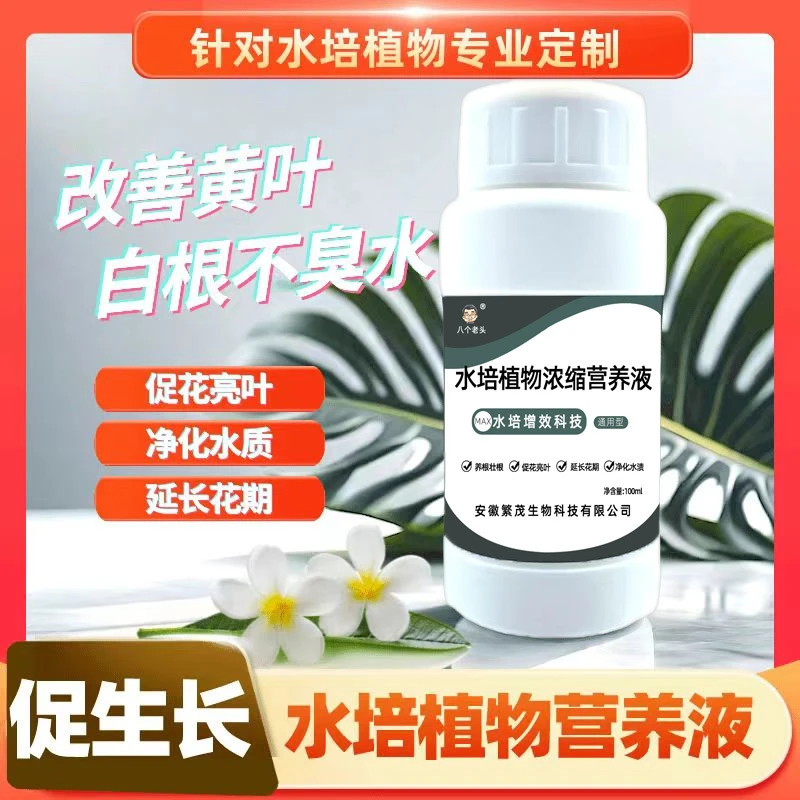 水培植物浓缩营养液观音竹富贵竹郁金香铜钱草通用不黄叶促生长