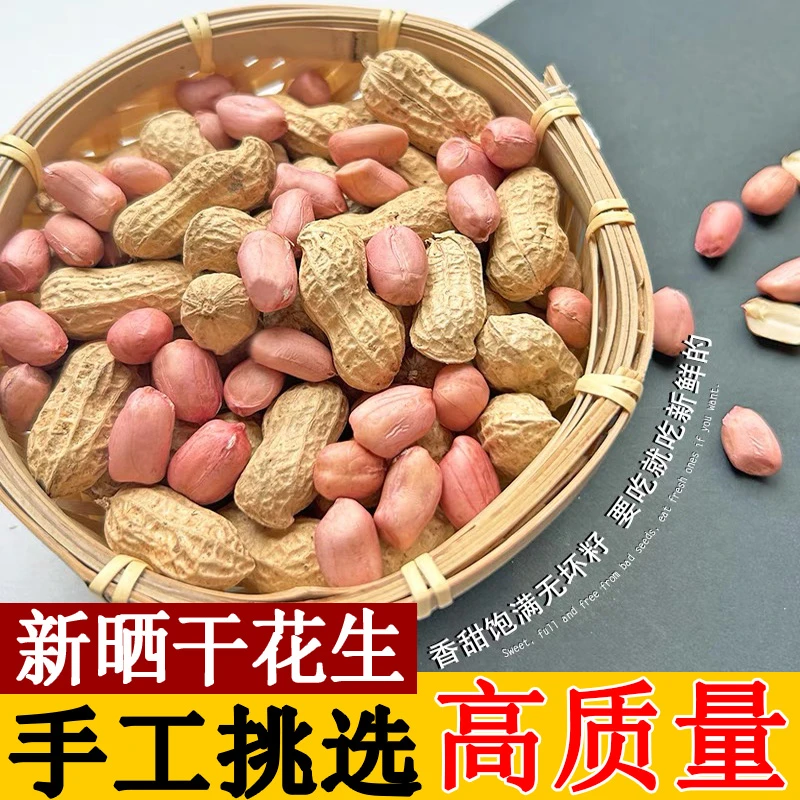 2025河南新晒干花生带壳生花生人工精选新花生2斤5斤10斤装