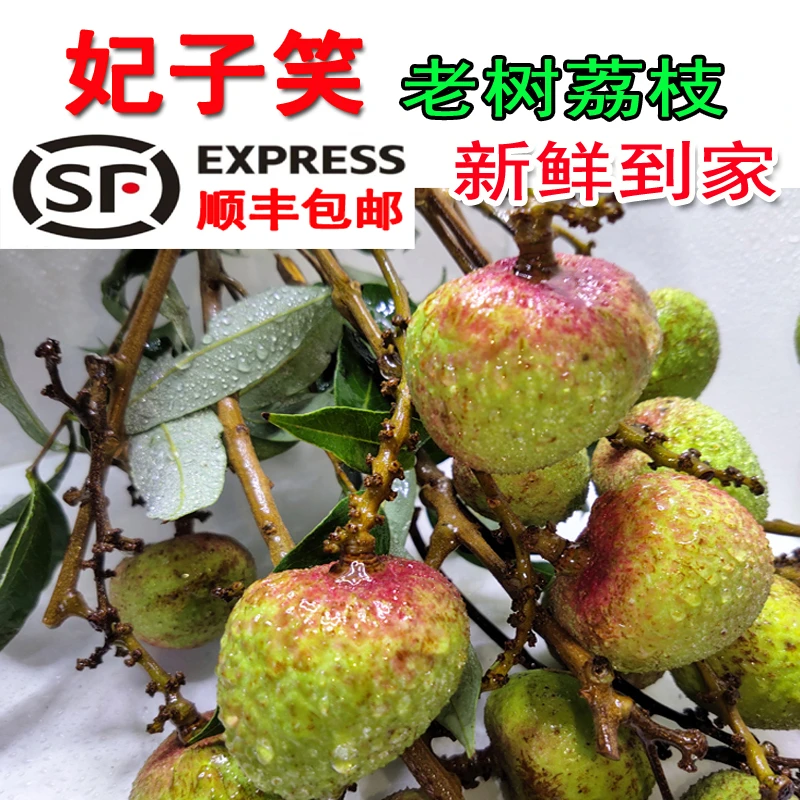 妃子笑荔枝新鲜水果白糖5罂桂花糯米香现摘当季整箱老树果三月红