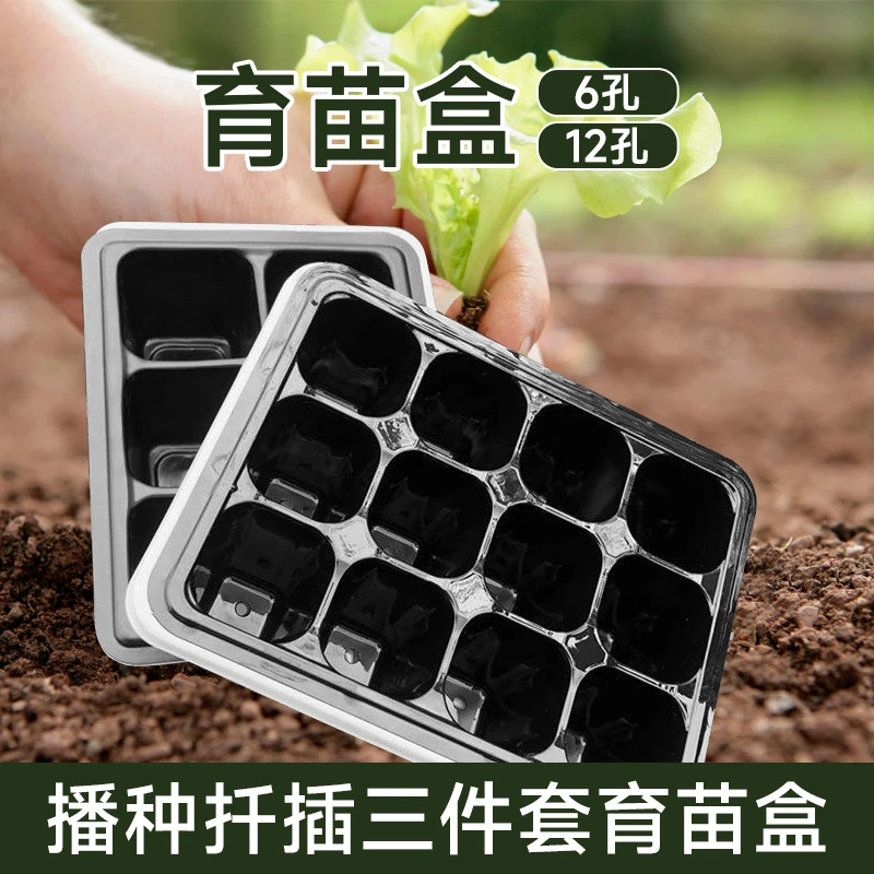 园艺育苗盒穴盘带盖三件套播种6孔12孔育苗盘育苗盆营养杯营养钵