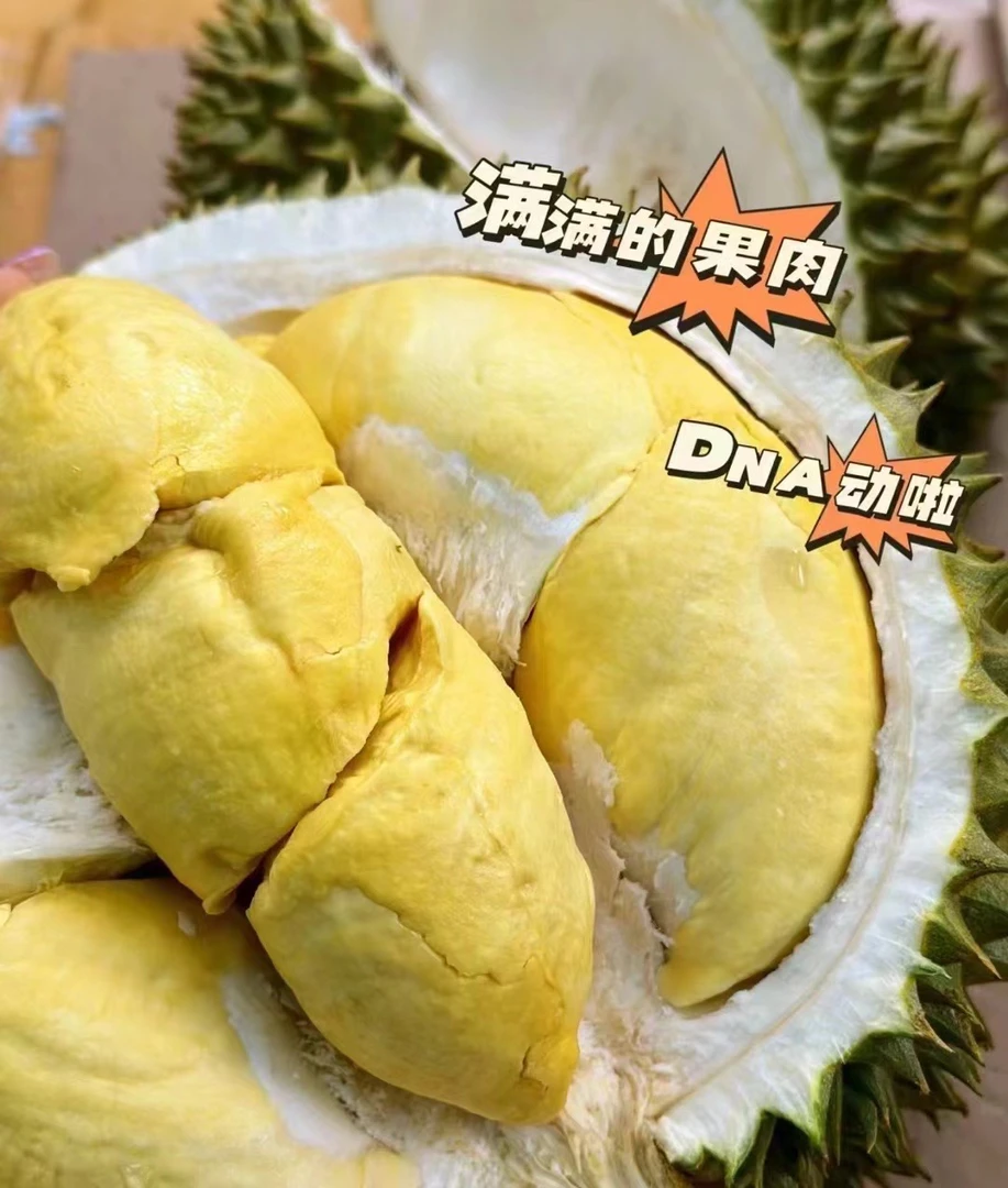 （同城跑腿）空运树熟泰国金枕榴莲