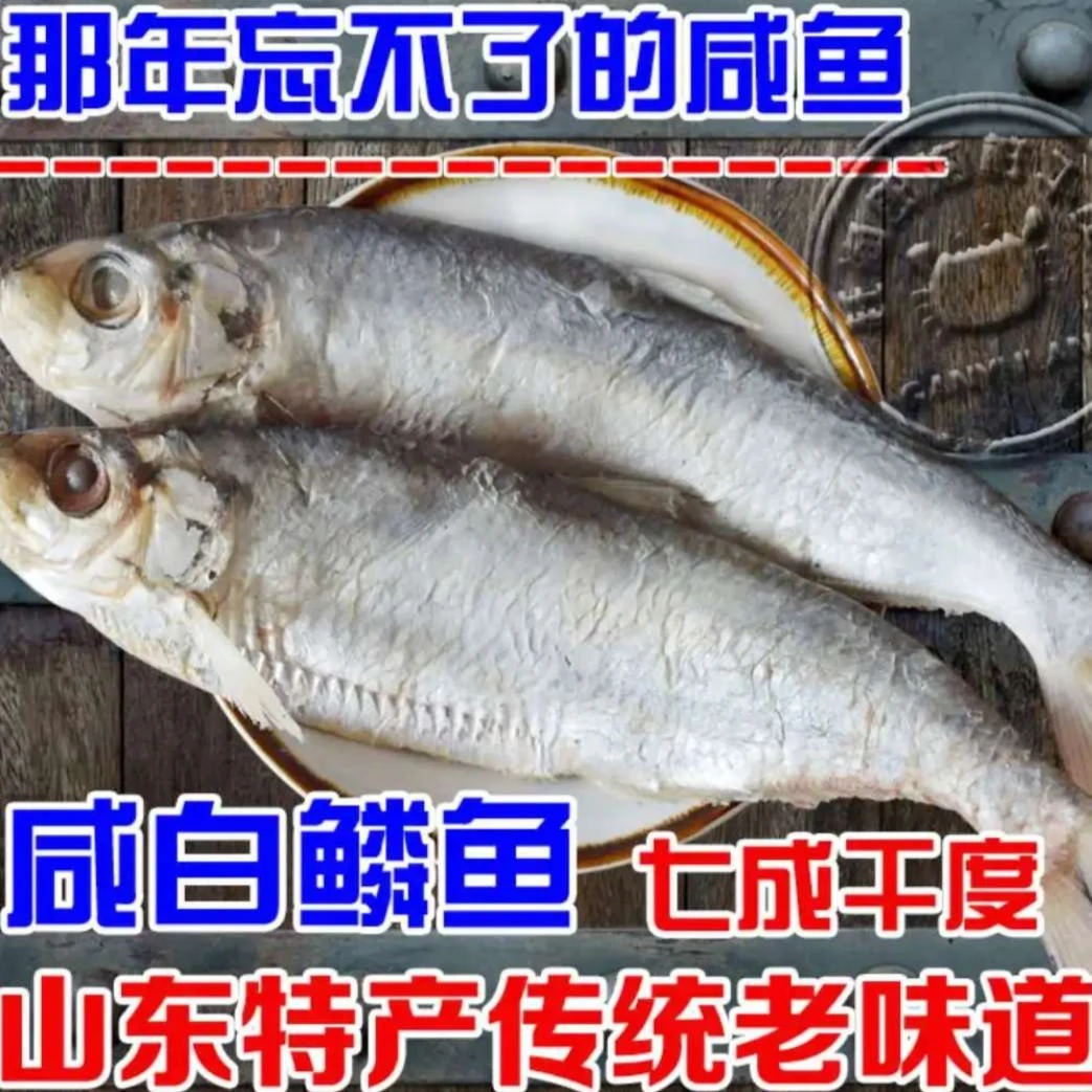 山东渤海咸白鳞鱼4-5斤装(快鱼)