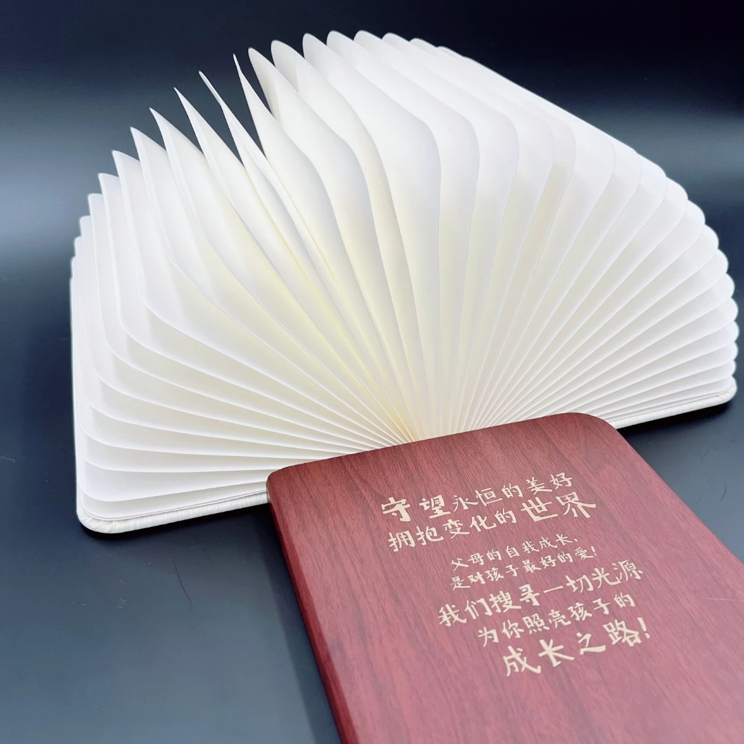 青豆书坊定制书灯 ins风木质家居摆件潮流图书周边