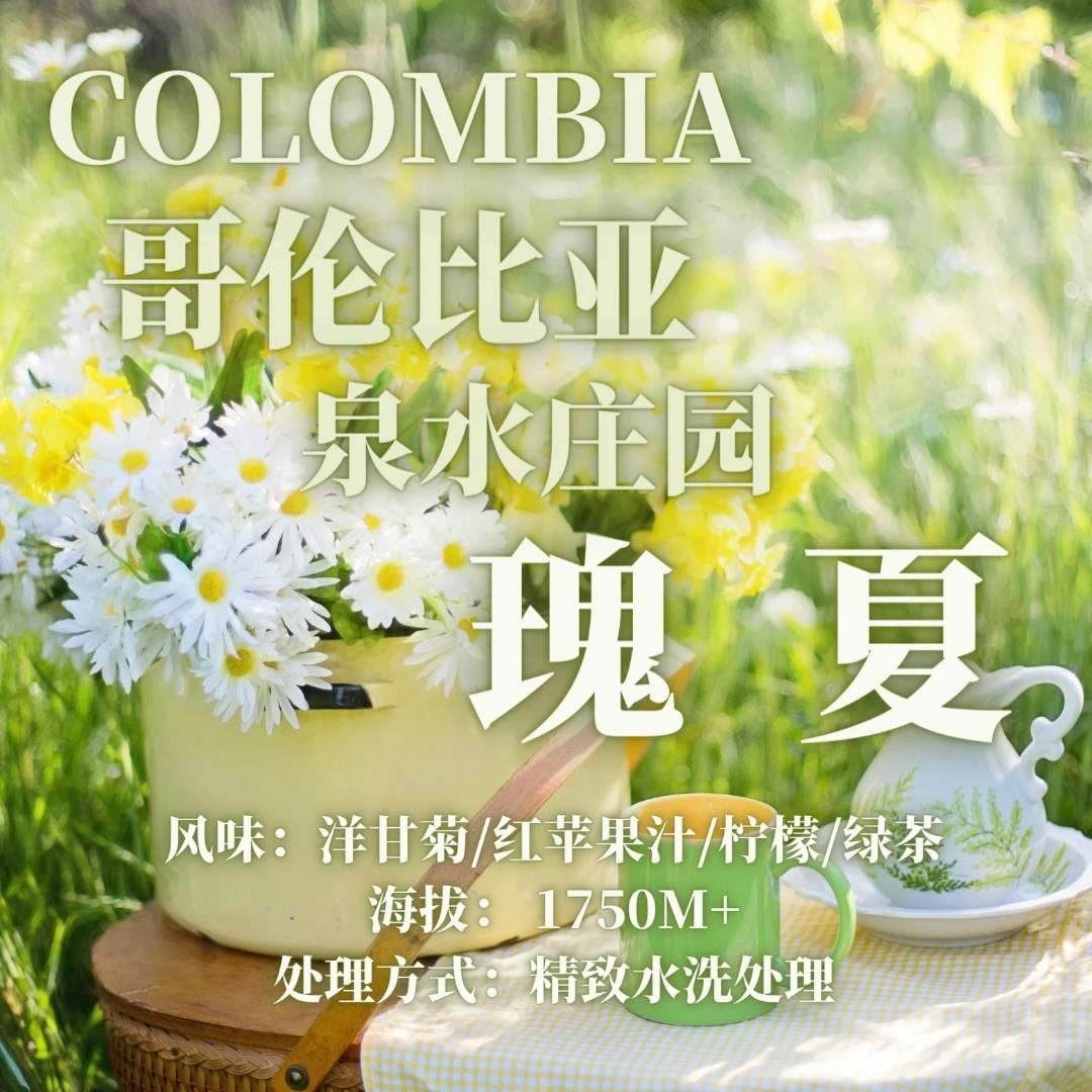哥伦比亚【泉水庄园 瑰夏】浅烘焙黑咖啡挂耳咖啡包
