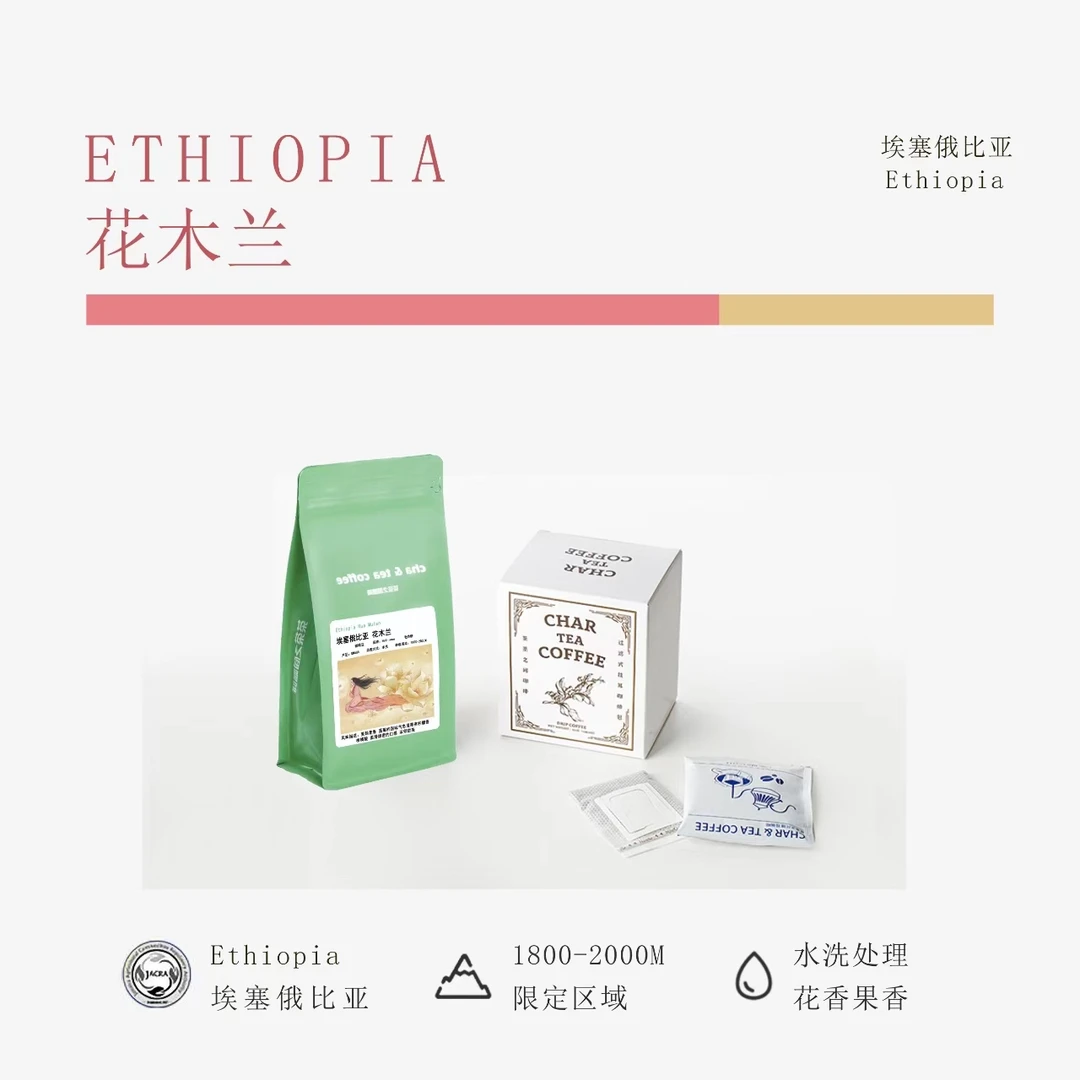 茶茶之间24新产季 埃塞 【花木兰 】手冲豆 100g浅烘焙