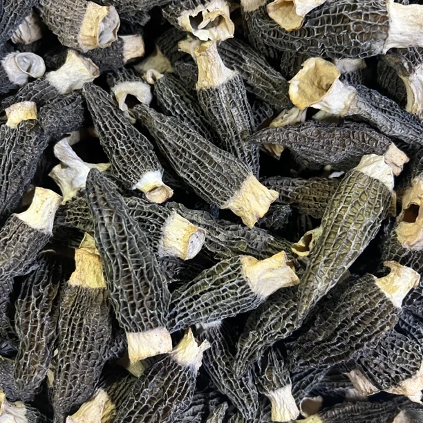 头茬六妹羊肚菌食用菌菌类干货