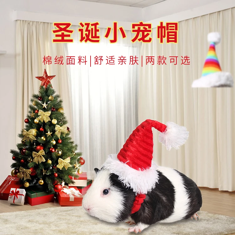 小型宠用品刺猬垫子荷兰猪猪侠圣诞红帽子绒布绑带小帽