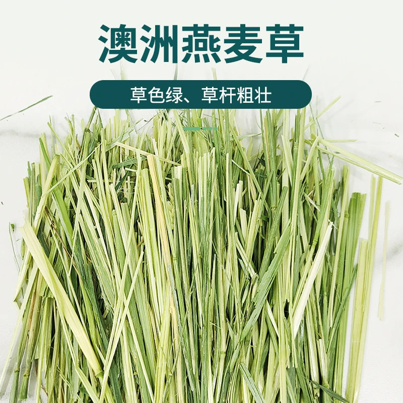 精选燕麦草兔子干草特级优质高品质黄金燕麦草500g高纤嫩绿