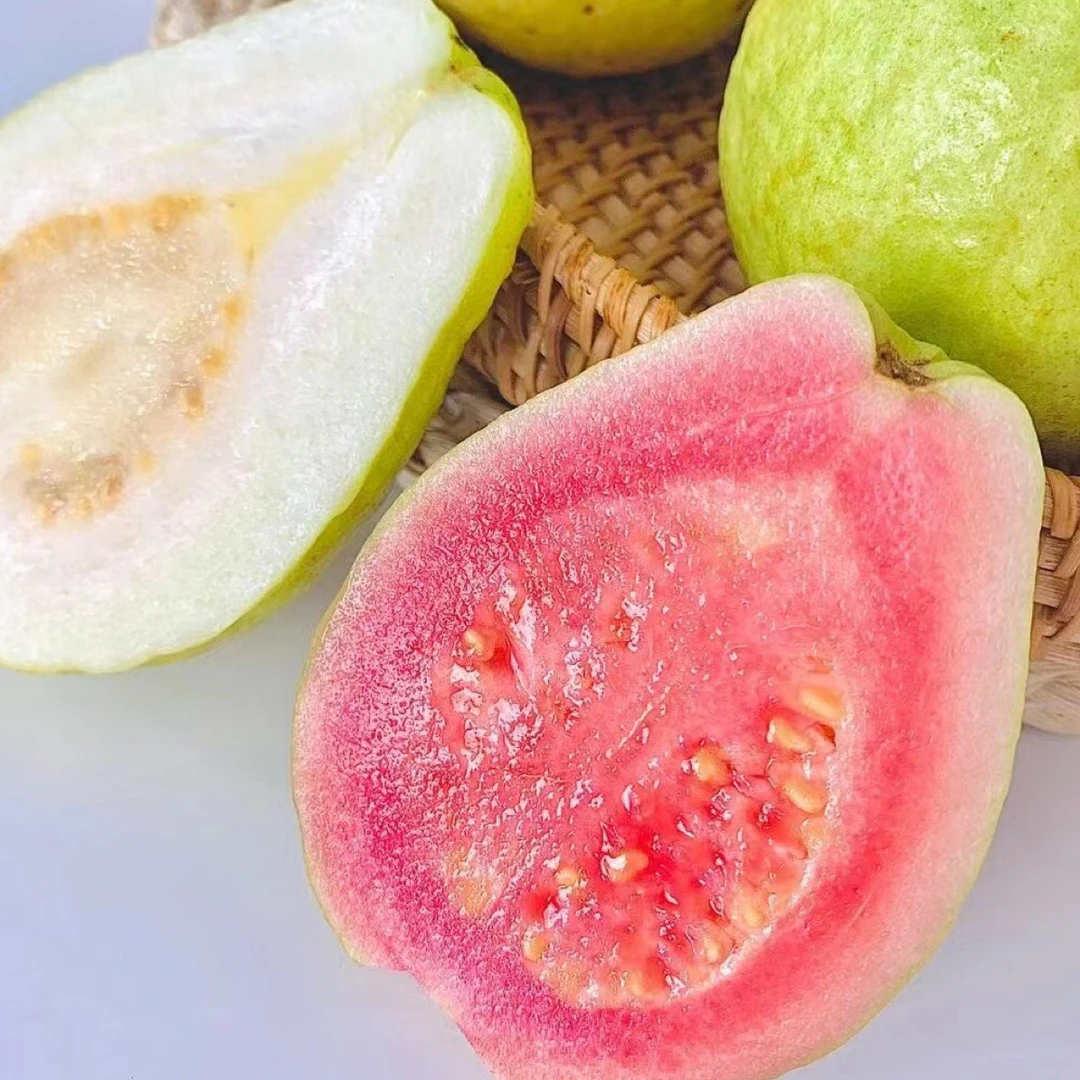 福建奶油芭乐红心/白心树上熟5斤番石榴低糖低热量新鲜水果