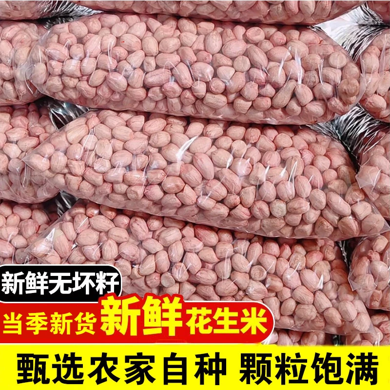 现剥无壳花生当季新货花生米粉红皮新鲜生花生干货榨油酒鬼花生