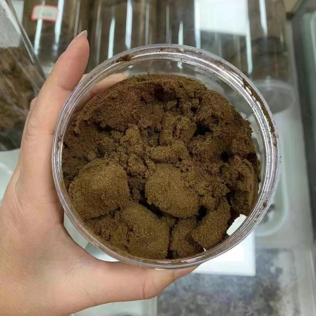 棋楠沉香  高油粉清蜜花香