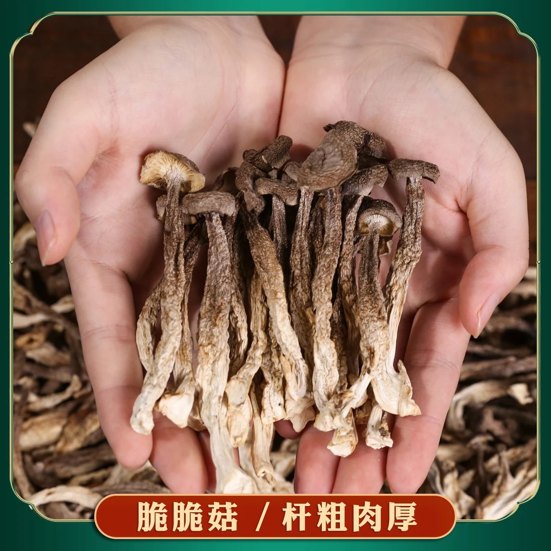 菌菇小二鹿茸菇高山脆脆菇农家菌菇干货蘑菇煲汤炒菜特产100-500g