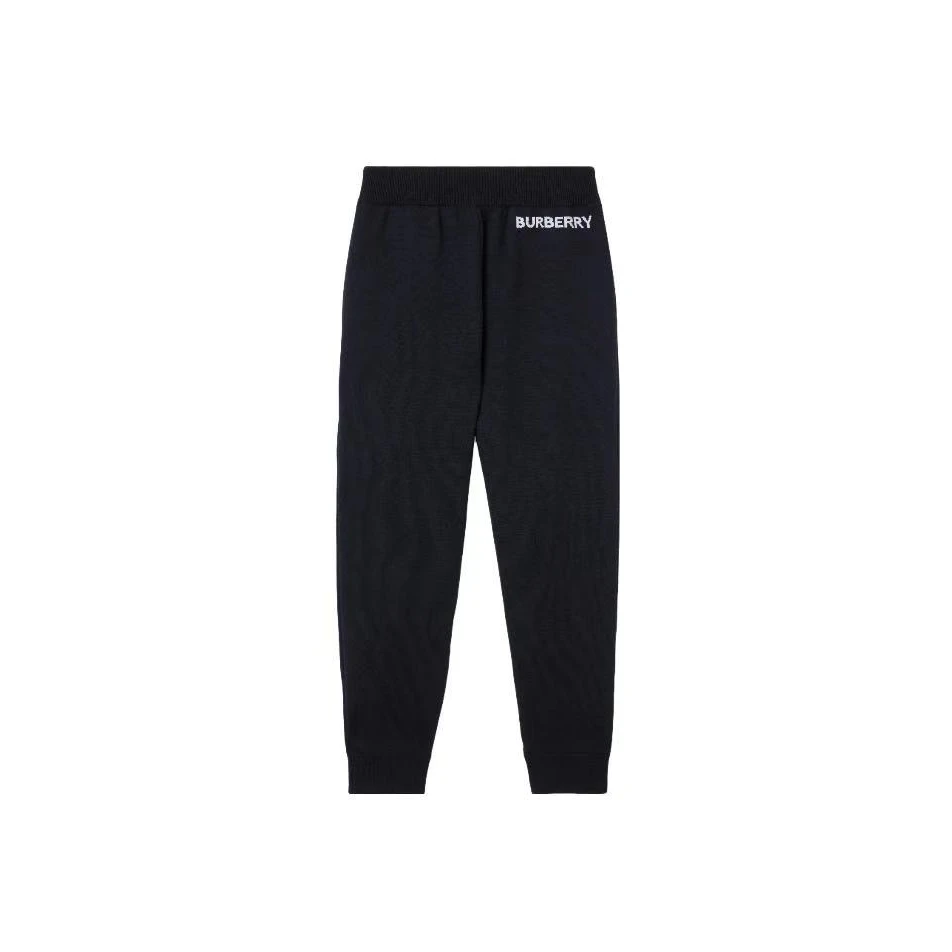 全新未使用 BURBERRY/博柏利 秋冬字母刺绣卫裤 MSP20022