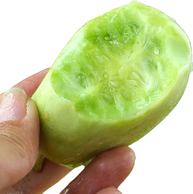 理想味道山东玉女水果小黄瓜新鲜采摘现摘现发脆嫩拇指黄瓜包邮