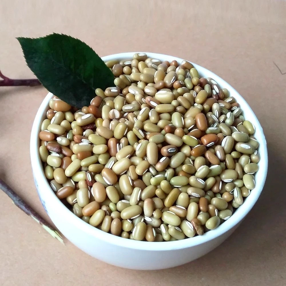 拜哥推荐泸州新款古蔺高山小豆汤酸菜特产木姜油豆子豆米包邮川味