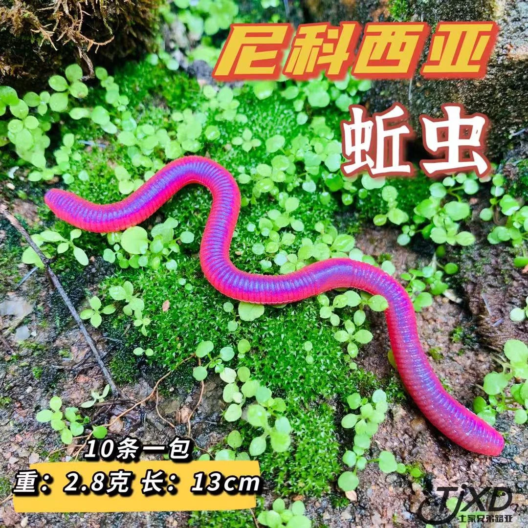 土家兄弟路亚NICOSIA尼科西亚 蚯虫面条虫软饵 仿生饵黑坑假饵
