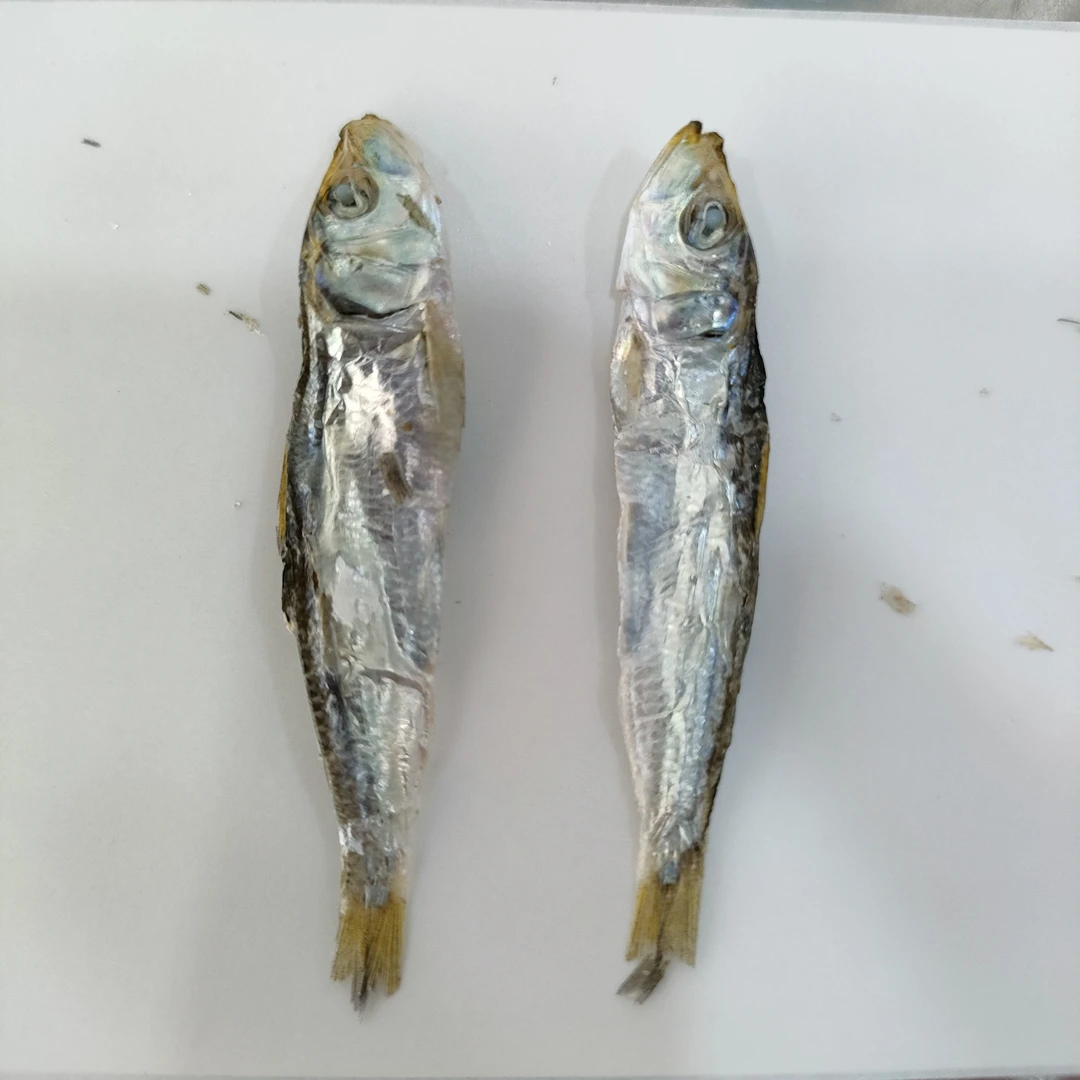 汕尾本港鲜晒小青兰鱼仔（姑鱼仔）