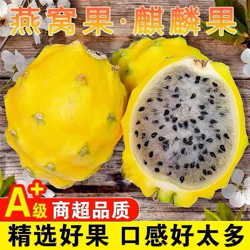 海南当季新鲜水果麒麟燕窝果1-4斤包邮 食用香甜多汁（从海南发货）