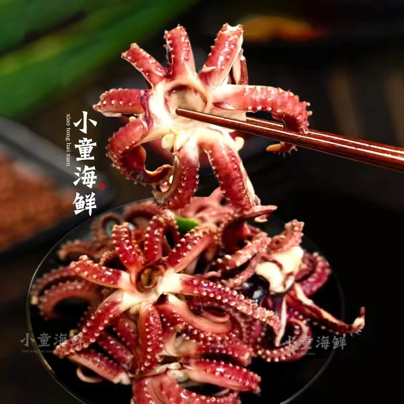 连云港发货、生鲜鱿鱼爪 新鲜冷冻鱿鱼须200g /包*9包