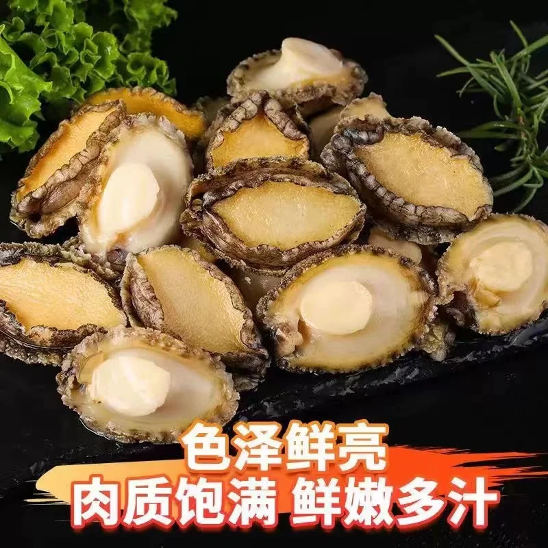 连云港发货 新鲜冷冻鲍鱼肉 鲜嫩饱满 到手30只 400g-450g包*1包