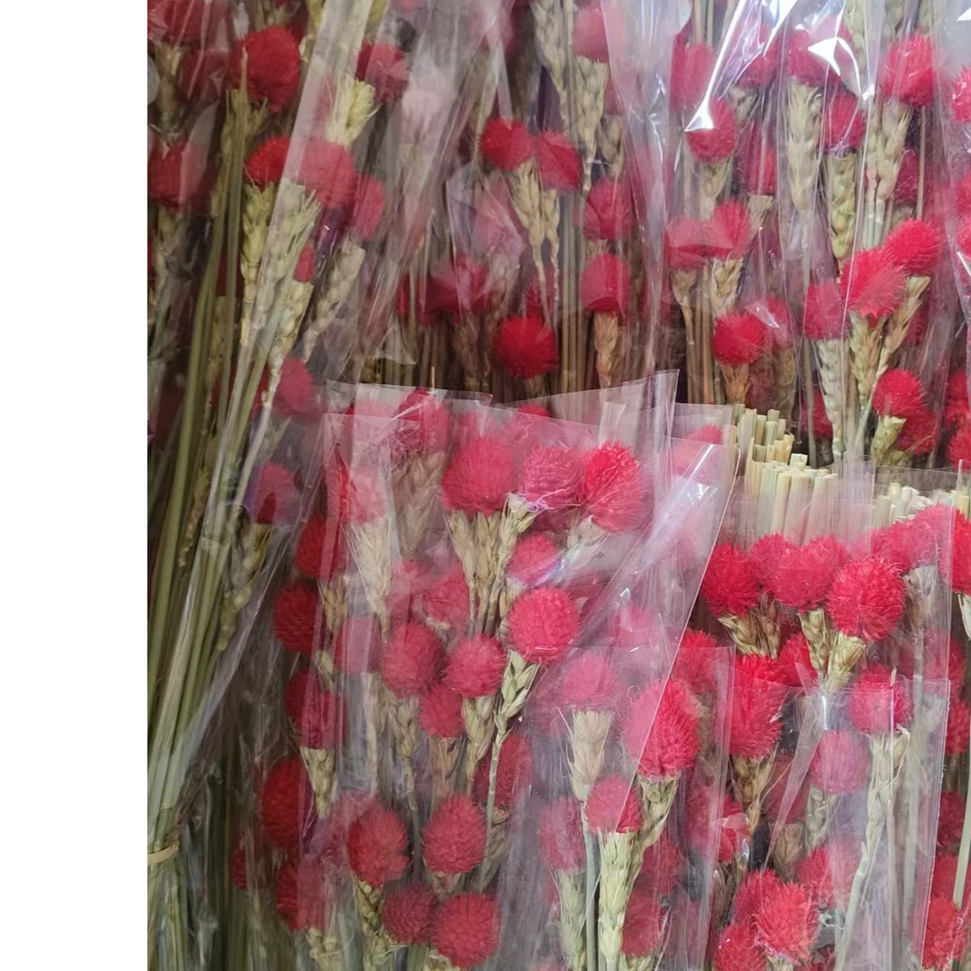 千日红干花永生花工厂直发