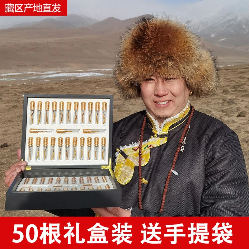 50根礼盒装 冬虫夏草2023年新货干虫草新鲜包邮滋补养生