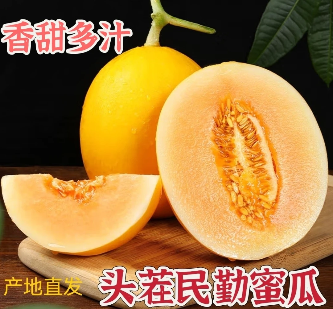 甘肃头茬民勤蜜瓜脆甜多汁8-9斤新鲜甜瓜包邮