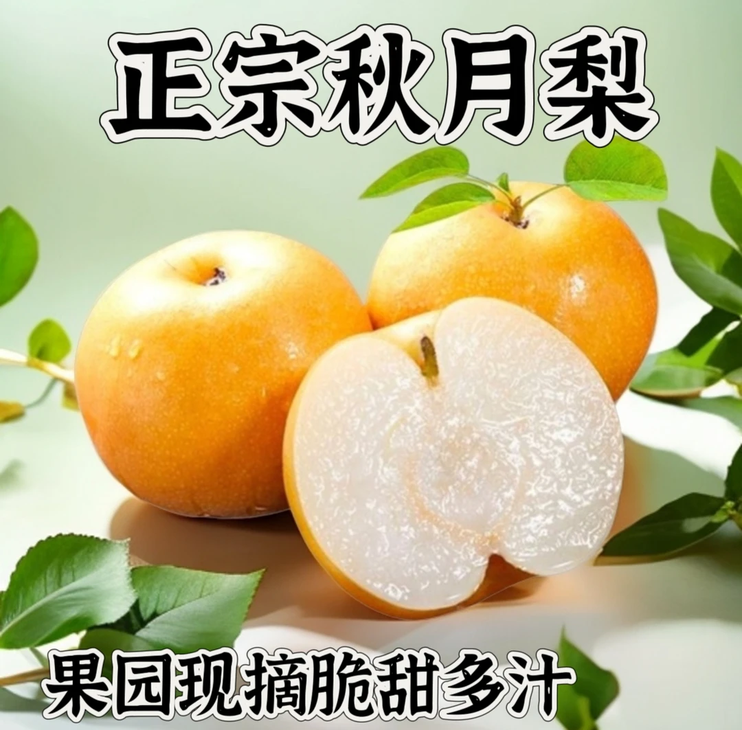 安徽砀山秋月梨5斤新鲜当季水果脆甜多汁现摘现发包邮