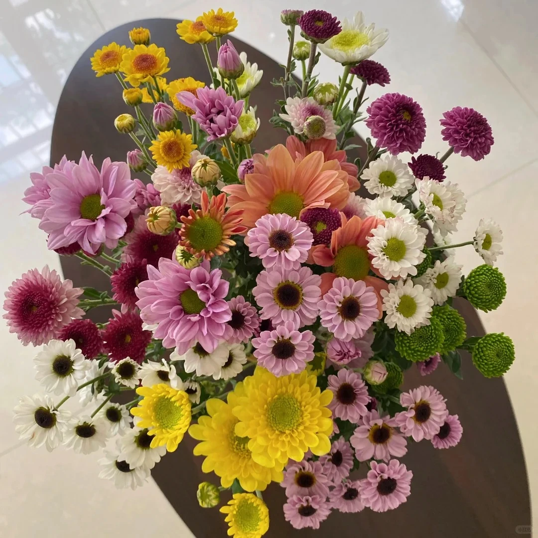 【云台花卉】混色小雏菊 随机颜色混搭 两单升级顺丰冷链