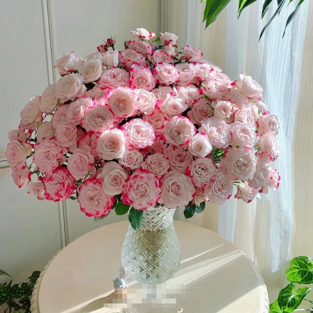 【云台花卉】折射多头泡泡10枝 两单升级京东冷链/EMS空运