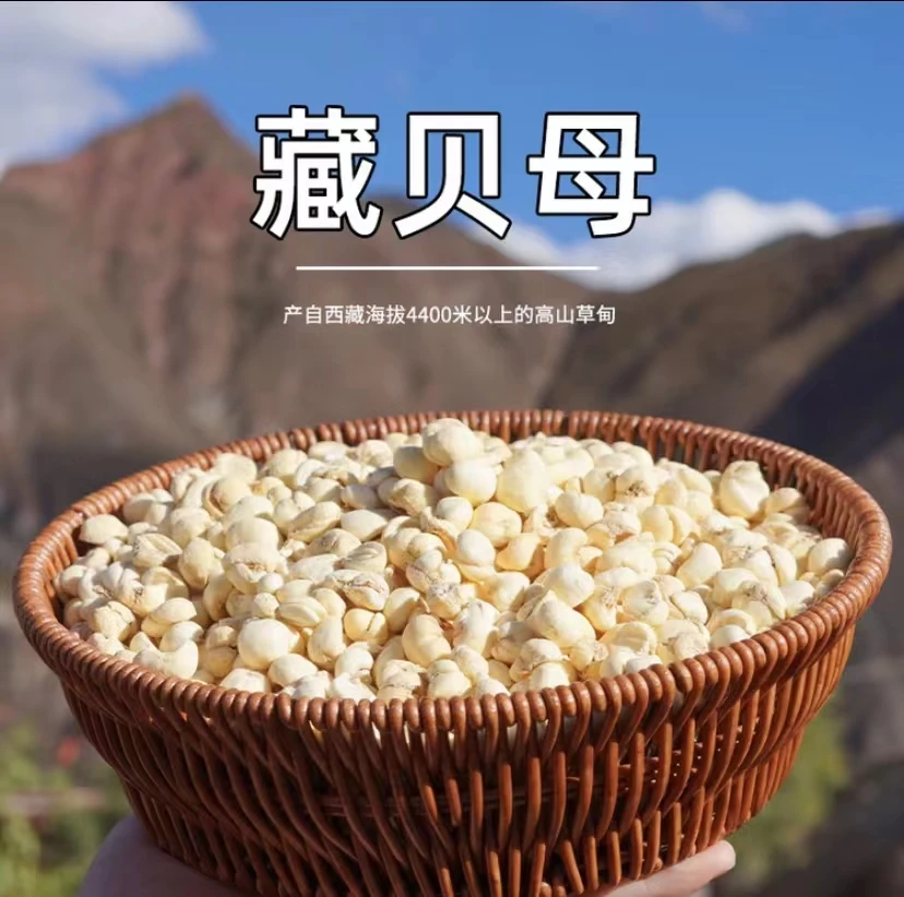 【藏贝母】无硫原生态20克起 可搭配枸杞煮水