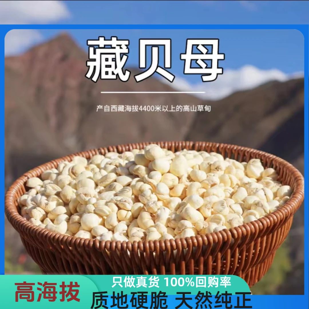 正宗西藏贝母无硫原生态怀中抱月非阿坝州四川贝平贝可搭雪梨枸杞