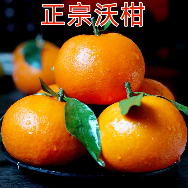 【优选品质】云南高山沃柑发货快沃柑试吃砂糖蜜应季皮薄维c水果