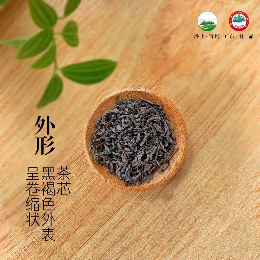 破价 青坷春茶 明前春茶海拔1064米茶芯甘甜山韵味足 高货可收藏
