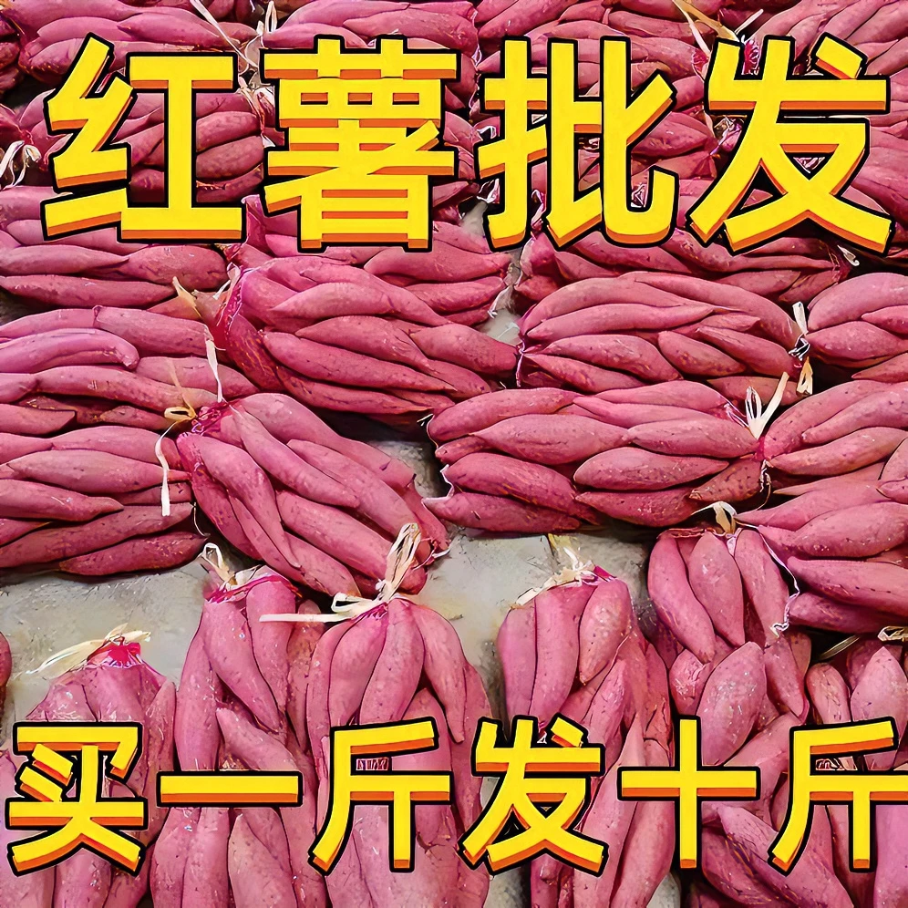 【抢购中】超甜正宗蜜薯1/10斤新鲜红薯蜜薯板栗薯地瓜番薯蔬菜烟薯