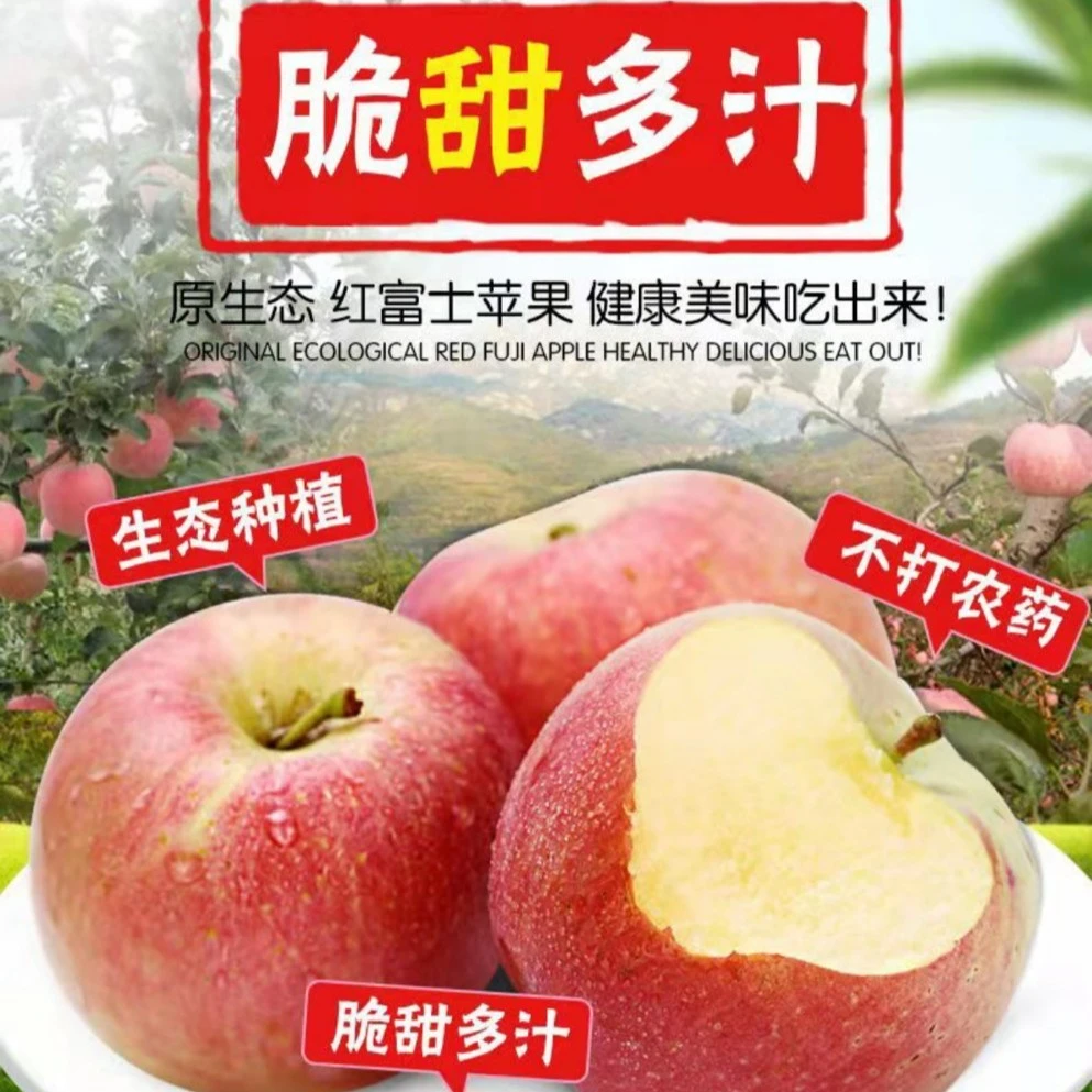 【23年新果】山西新鲜当季晚熟红富士苹果 9甜1酸 脆甜多汁5-9斤