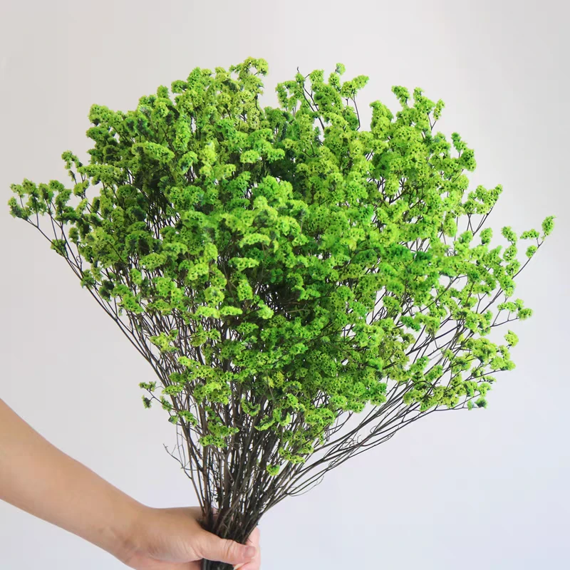 水晶草风干真花天然干花花束客厅鲜花摆设家居装饰摆件永生干燥花