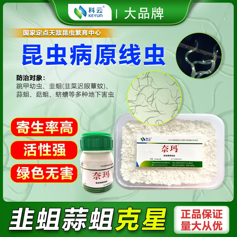 科云昆虫病原线虫防草坪蛴螬韭菜韭蛆蘑菇金针菇害虫花卉盆栽杀虫