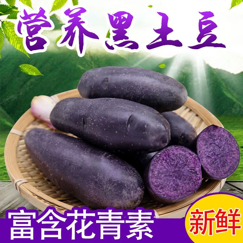 【坏果包赔】2024新鲜现挖黑土豆紫色大土豆黑金刚黑美人马铃薯洋芋